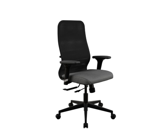 Кресло офисное SynchroSit 8 B2-9D - X2+Bahama